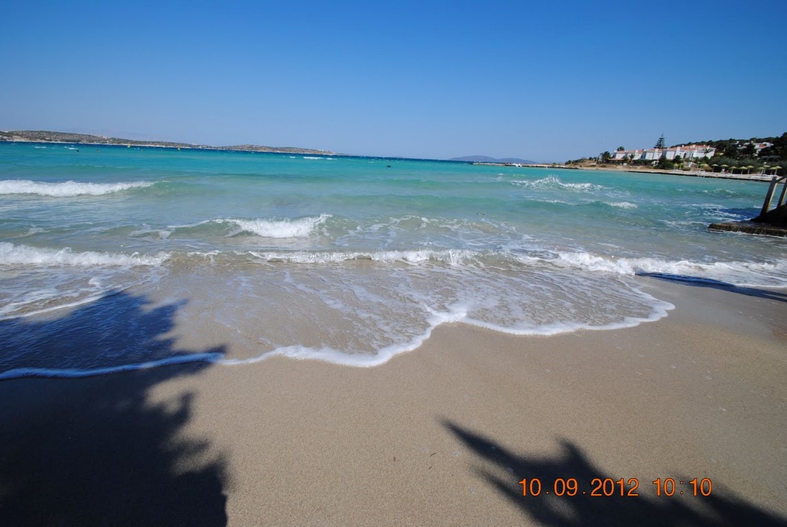 imagini hotel ALTIN YUNUS CESME